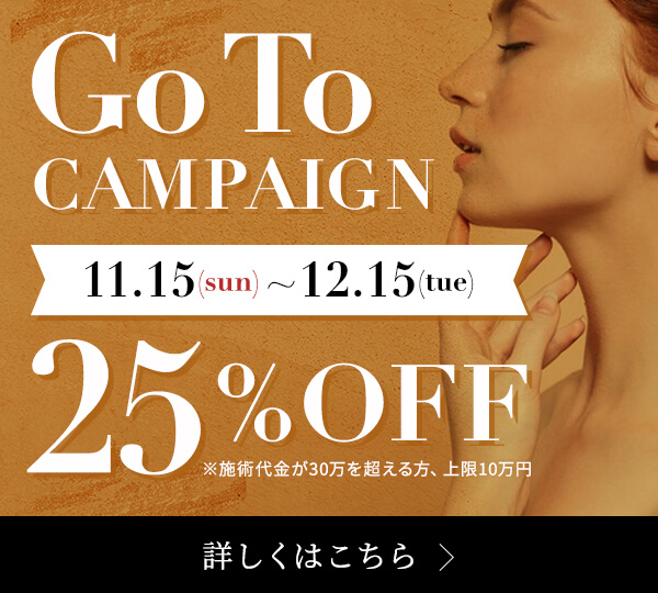 GoToキャンペーン:11/15〜12/15