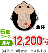 6回コース:90万円